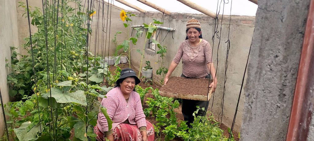 “EMPODERAMIENTO ECONÓMICO DE MUJERES PRODUCTORAS PERI URBANAS EN PRODUCCIÓN, TRANSFORMACIÓN Y COMERCIALIZACIÓN DE PRODUCTOS AGROECOLÓGICOS EN LOS MUNICIPIO DE ACHOCALLA Y EL ALTO”